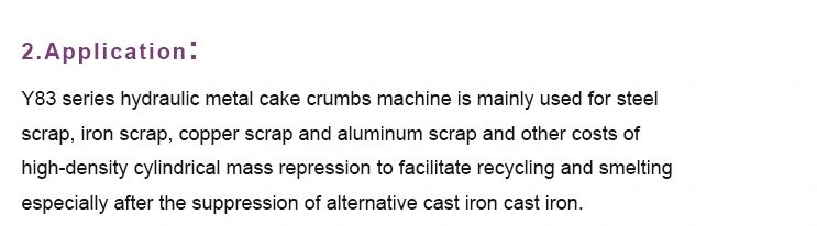 Hydraulic Scrap Metal Chip Iron Copper Aluminum Manual Briquette Press